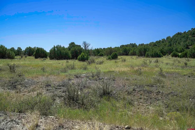 a view of an outdoor space with mountain view