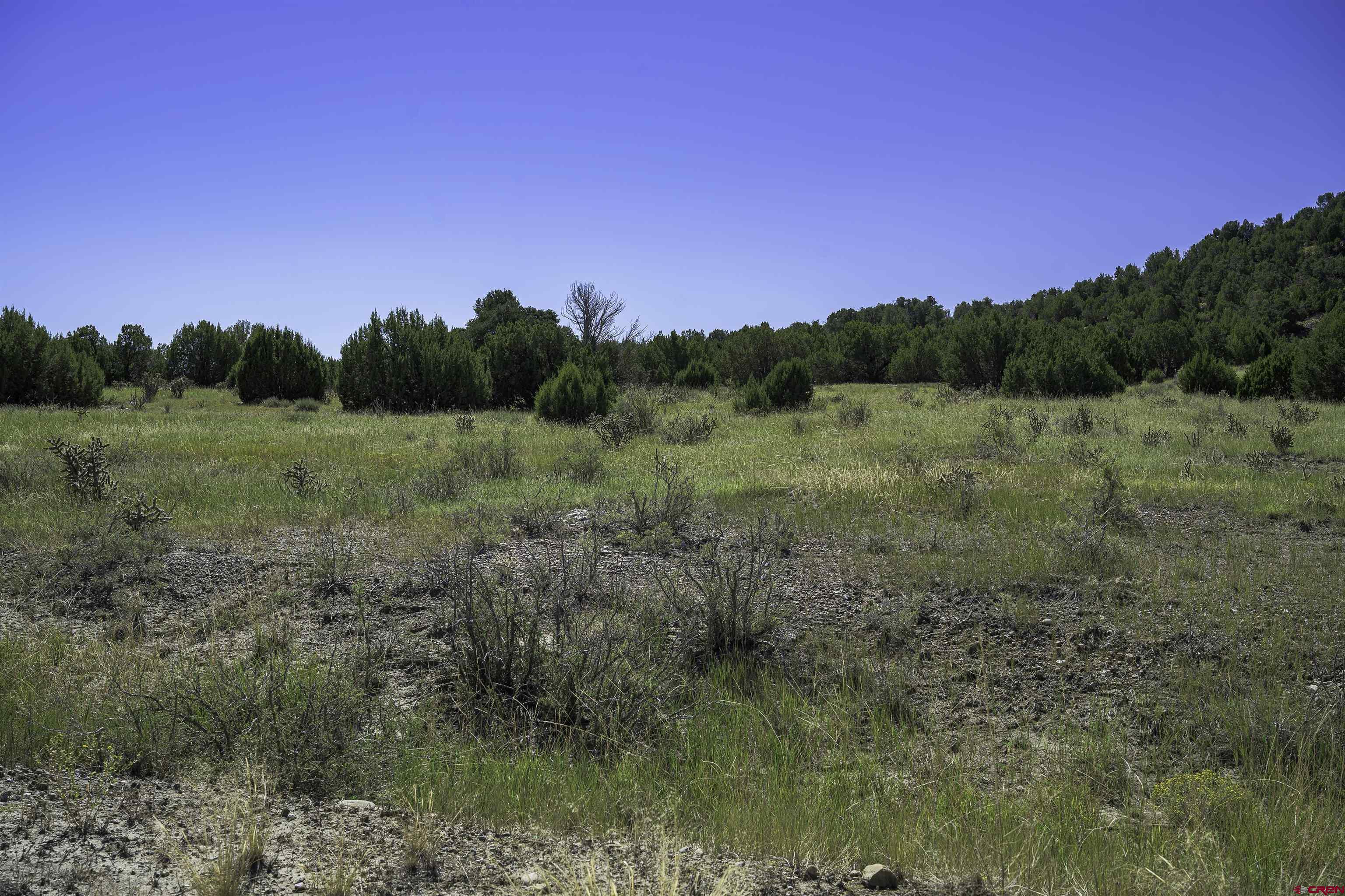 37250 Kunzite Road Trinidad, CO 81082 - Photo 10 of 33 a view of an outdoor space with mountain view