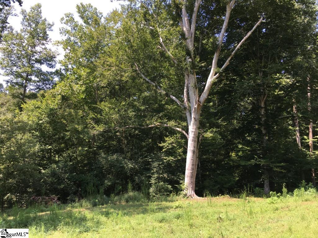 367 Geddy Road Gray Court, SC 29645 - Photo 26 of 33
