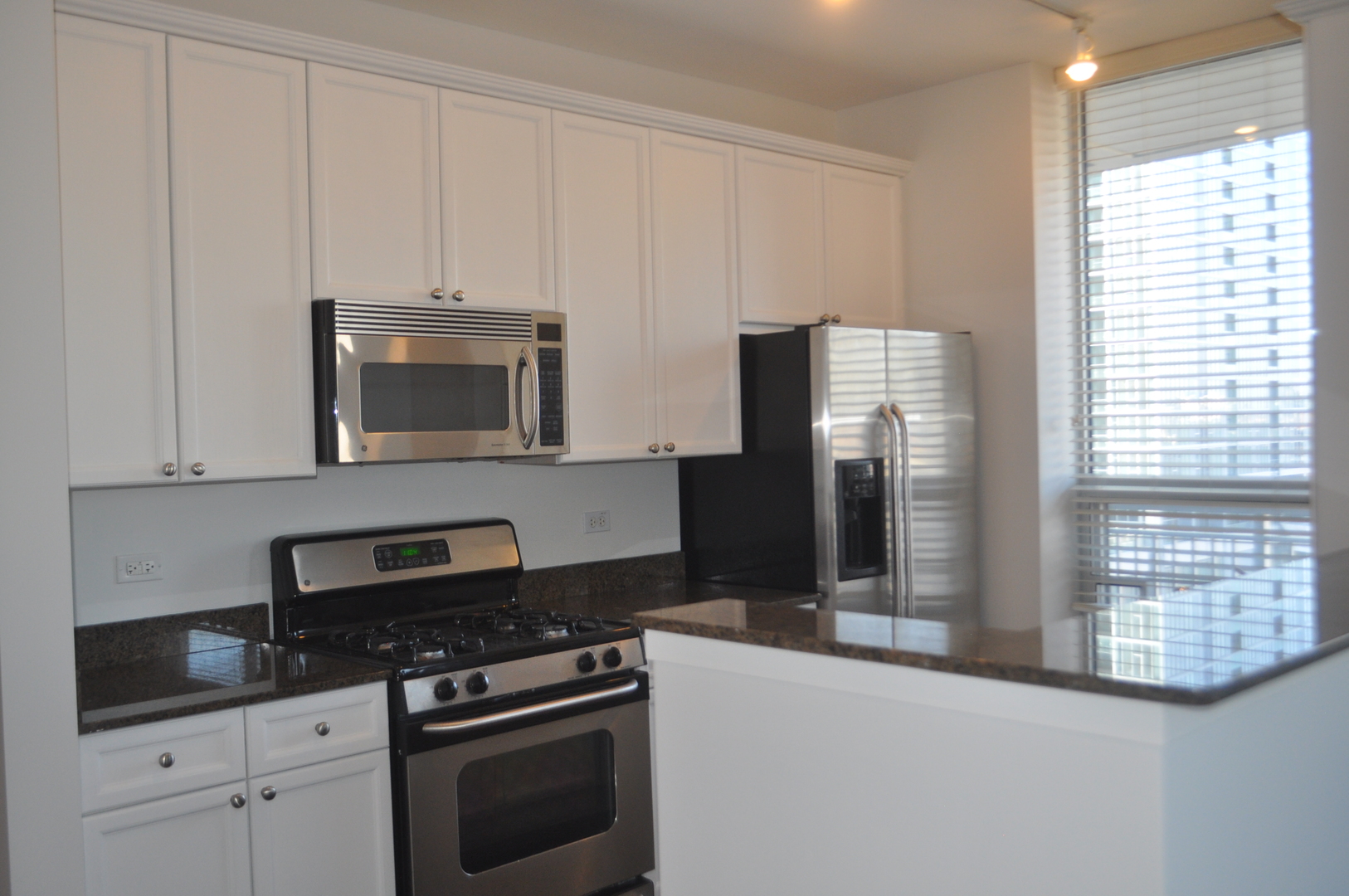 330 West Grand Avenue, Unit 1004 Chicago, IL 60654 - Photo 5 of 20