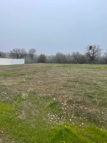 a view of an ocean and beach