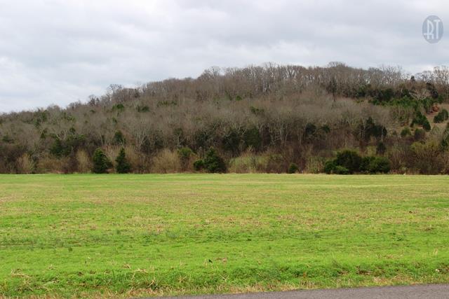 6 Beech Log Road Watertown, TN 37184 - Photo 3 of 4