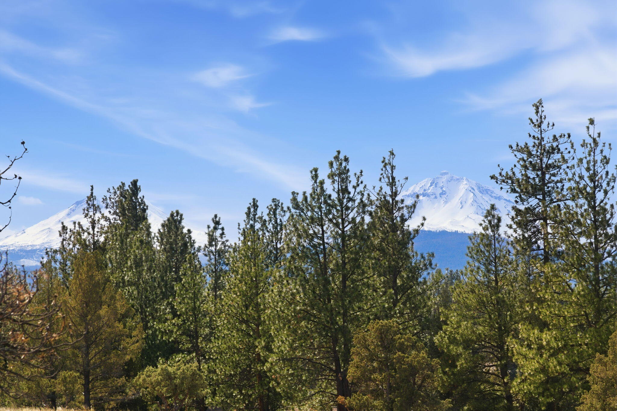70070 Meadow View Road Sisters, OR 97759 - Photo 10 of 13