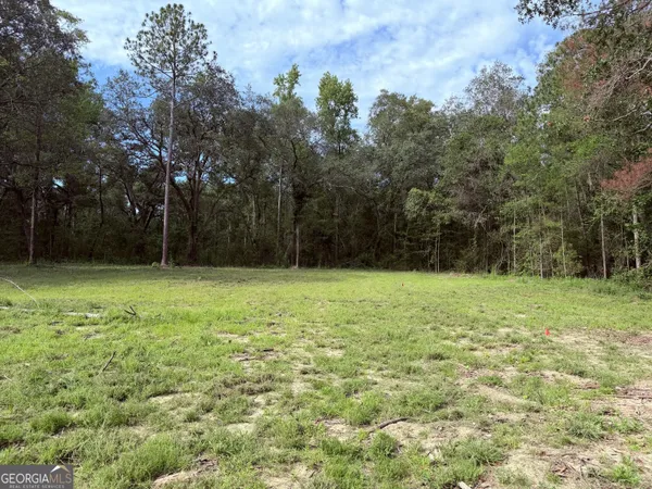 $88,000 | 3980 Mosley Road, Claxton, GA 30417
