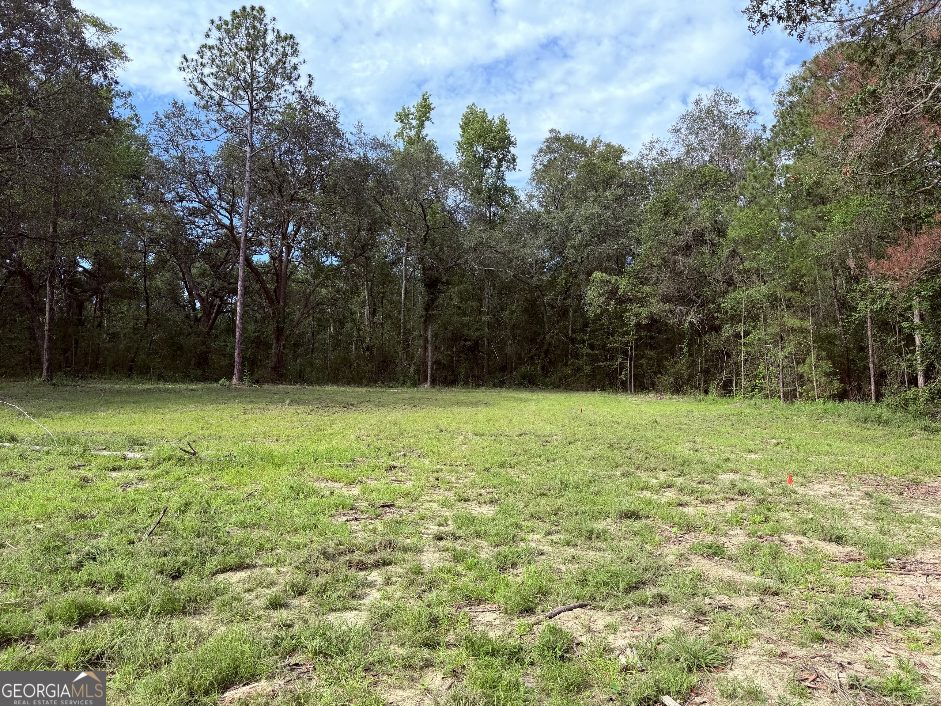 3980 Mosley Road Claxton, GA 30417 - Photo 1 of 10