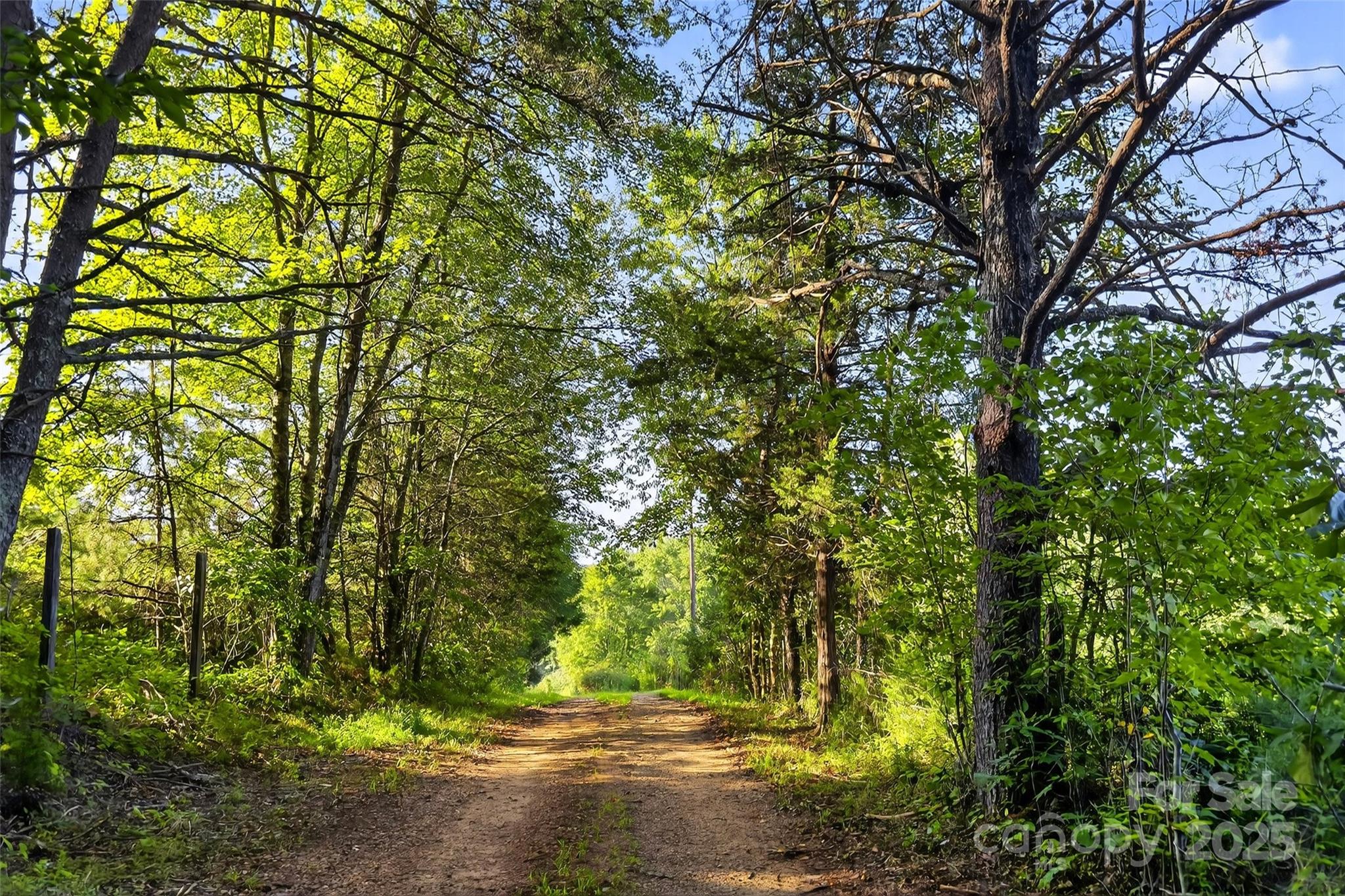 415 Reel Hollow Road Marion, NC 28752 - Photo 26 of 48