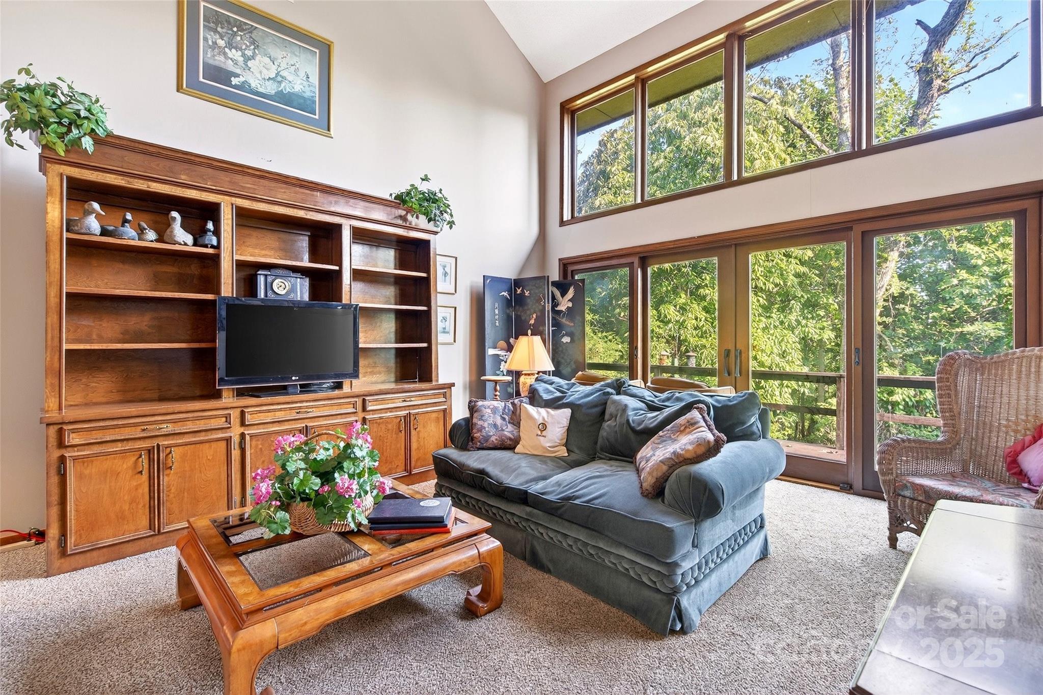 415 Reel Hollow Road Marion, NC 28752 - Photo 3 of 48