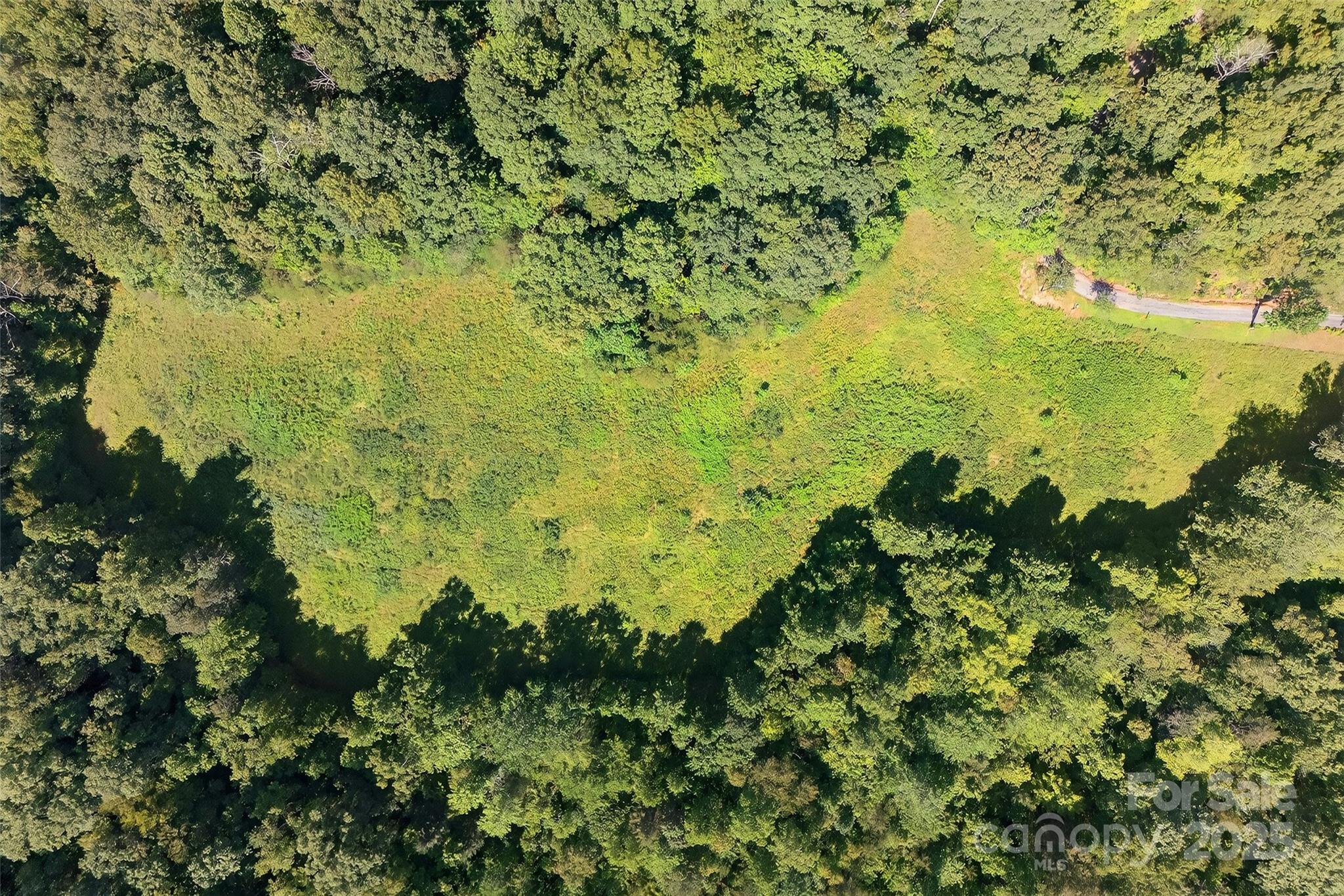 415 Reel Hollow Road Marion, NC 28752 - Photo 35 of 48