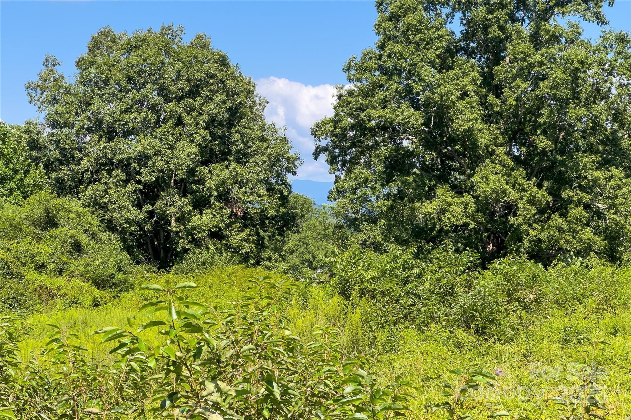 415 Reel Hollow Road Marion, NC 28752 - Photo 38 of 48