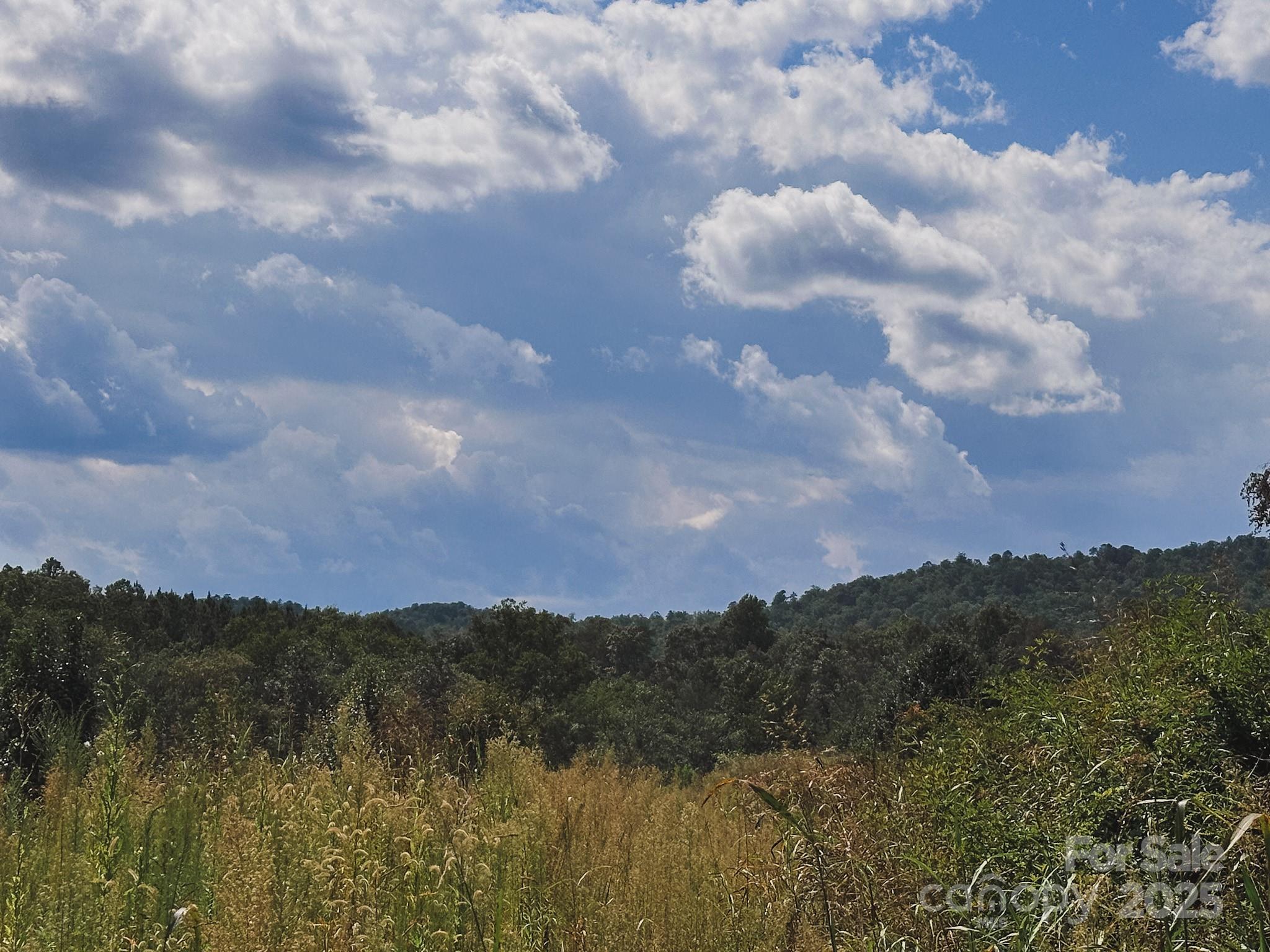 415 Reel Hollow Road Marion, NC 28752 - Photo 43 of 48