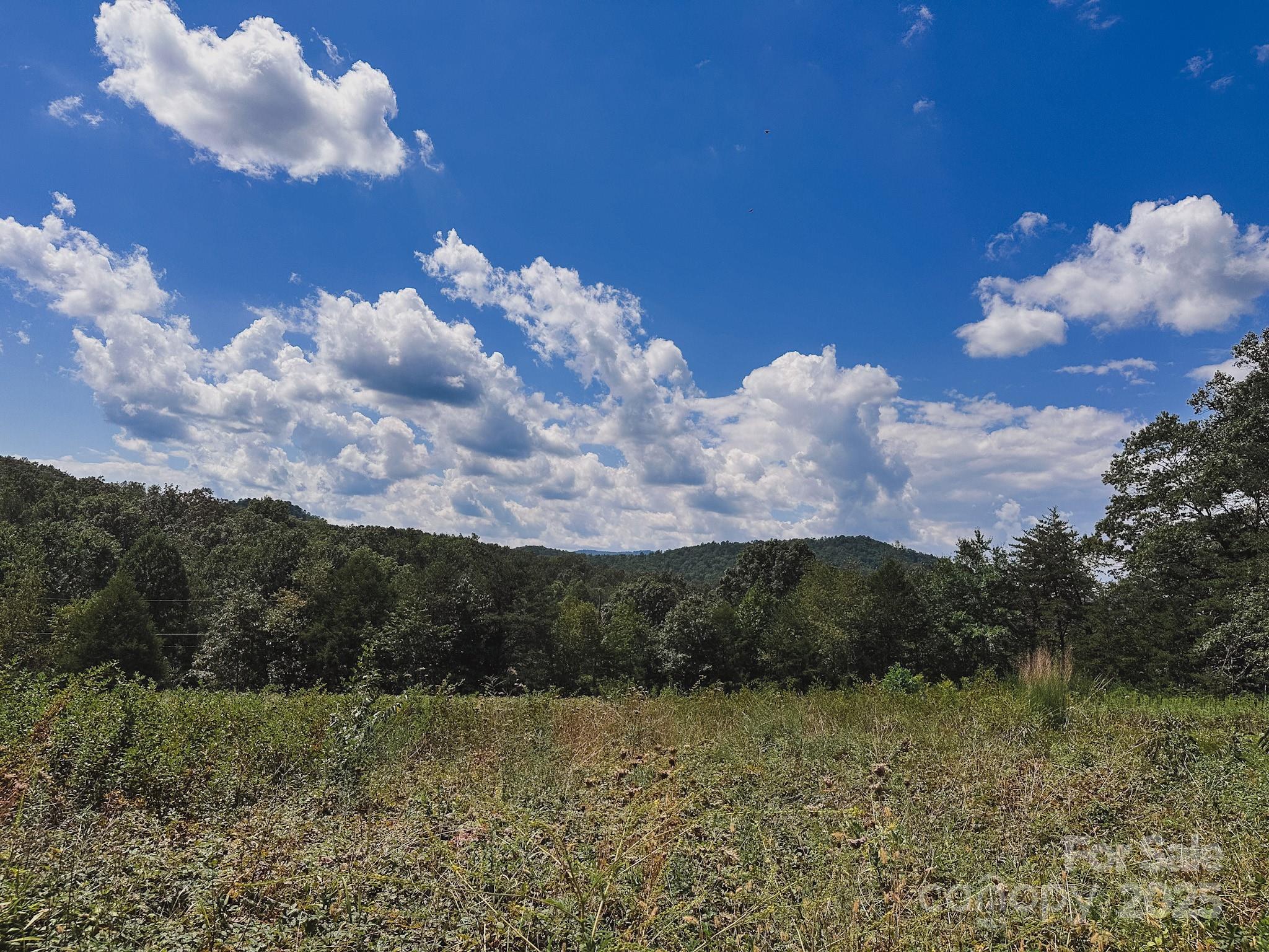 415 Reel Hollow Road Marion, NC 28752 - Photo 45 of 48