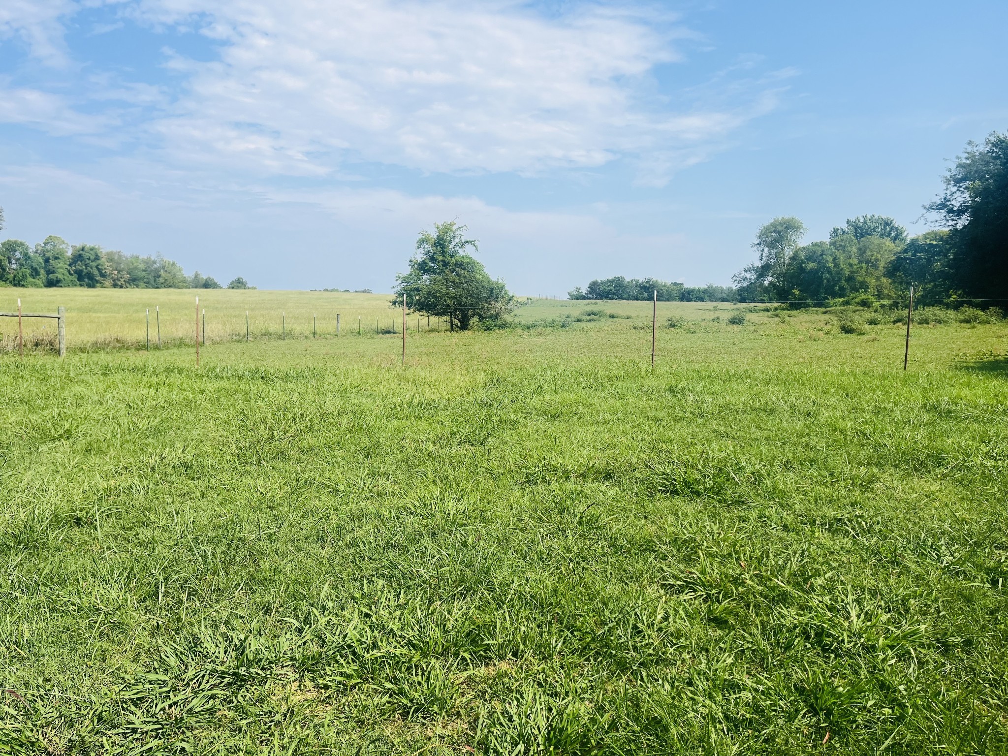 712 Bible Crossing Road Winchester, TN 37398 - Photo 11 of 11 Gallery Image 11