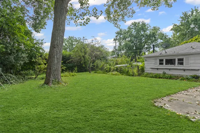a backyard of a house with plants and large trees