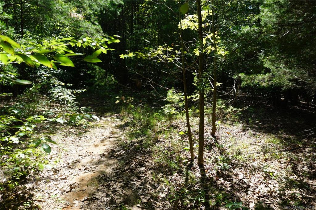 10.3-ac North Grandview Road, Unit 3 Clover, SC 29710 - Photo 2 of 13