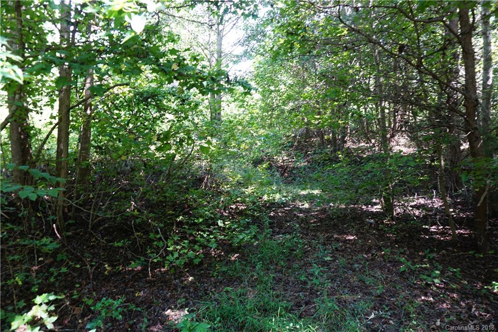10.3-ac North Grandview Road, Unit 3 Clover, SC 29710 - Photo 11 of 13