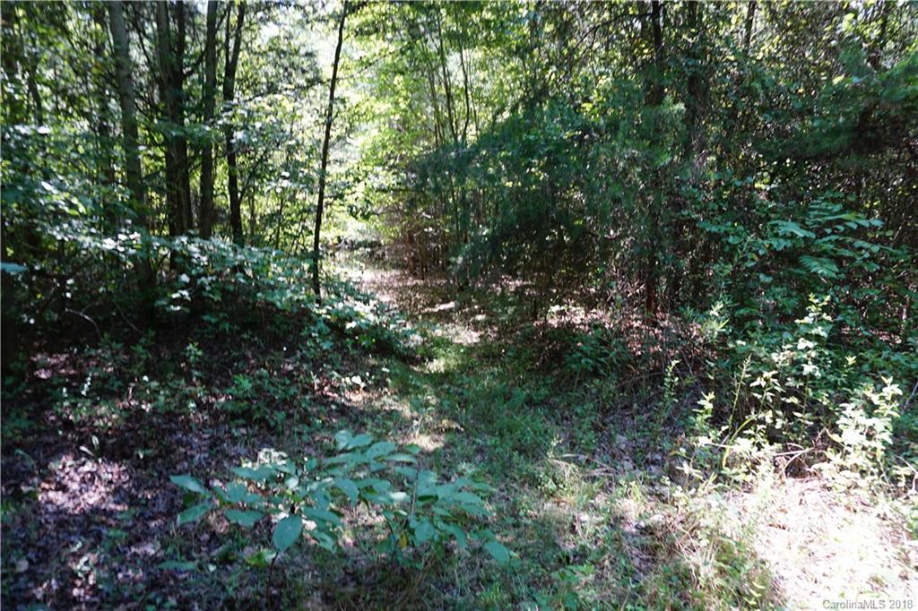 10.3-ac North Grandview Road, Unit 3 Clover, SC 29710 - Photo 12 of 13
