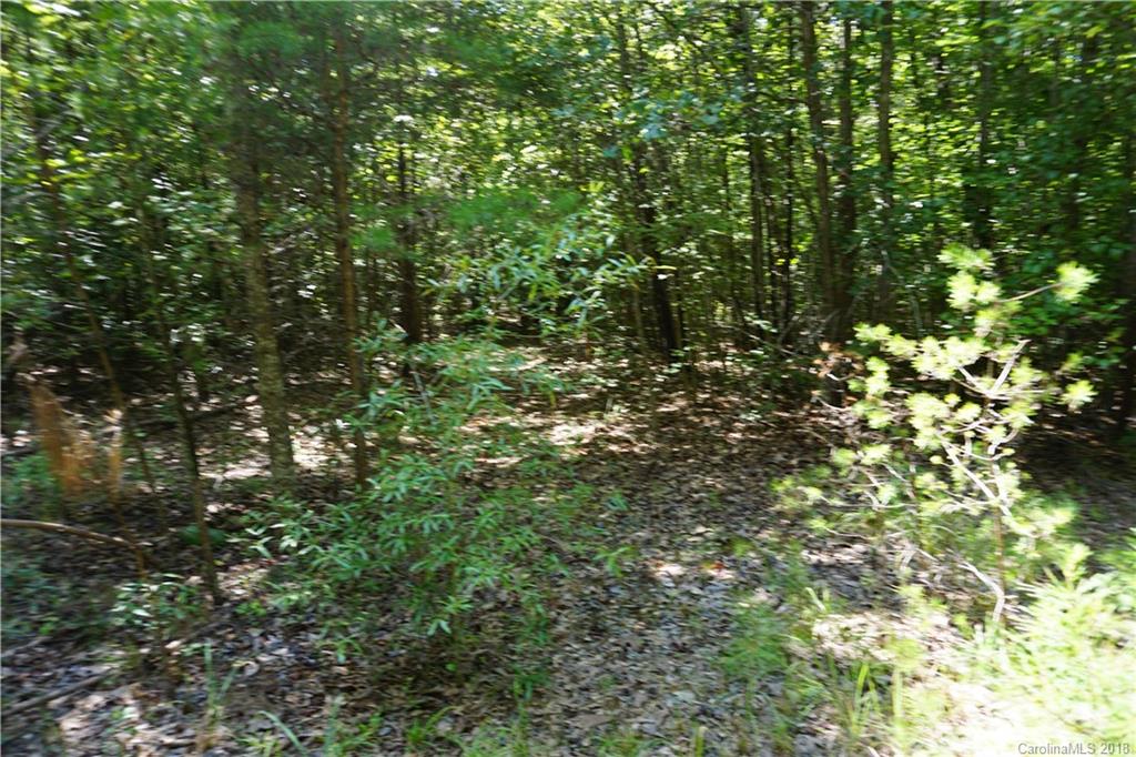 10.3-ac North Grandview Road, Unit 3 Clover, SC 29710 - Photo 3 of 13