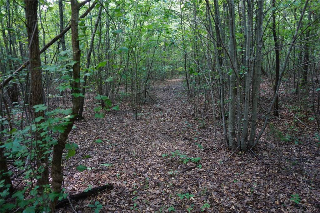 10.3-ac North Grandview Road, Unit 3 Clover, SC 29710 - Photo 4 of 13