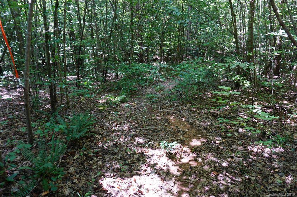 10.3-ac North Grandview Road, Unit 3 Clover, SC 29710 - Photo 6 of 13