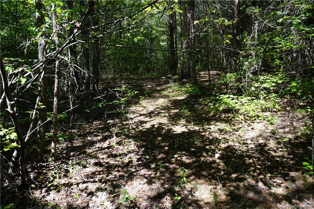 10.3-ac North Grandview Road, Unit 3 Clover, SC 29710 - Photo 8 of 13