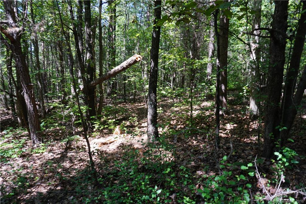 10.3-ac North Grandview Road, Unit 3 Clover, SC 29710 - Photo 9 of 13