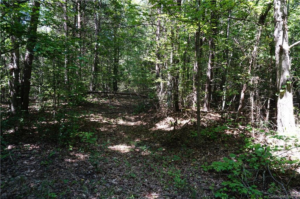10.3-ac North Grandview Road, Unit 3 Clover, SC 29710 - Photo 10 of 13