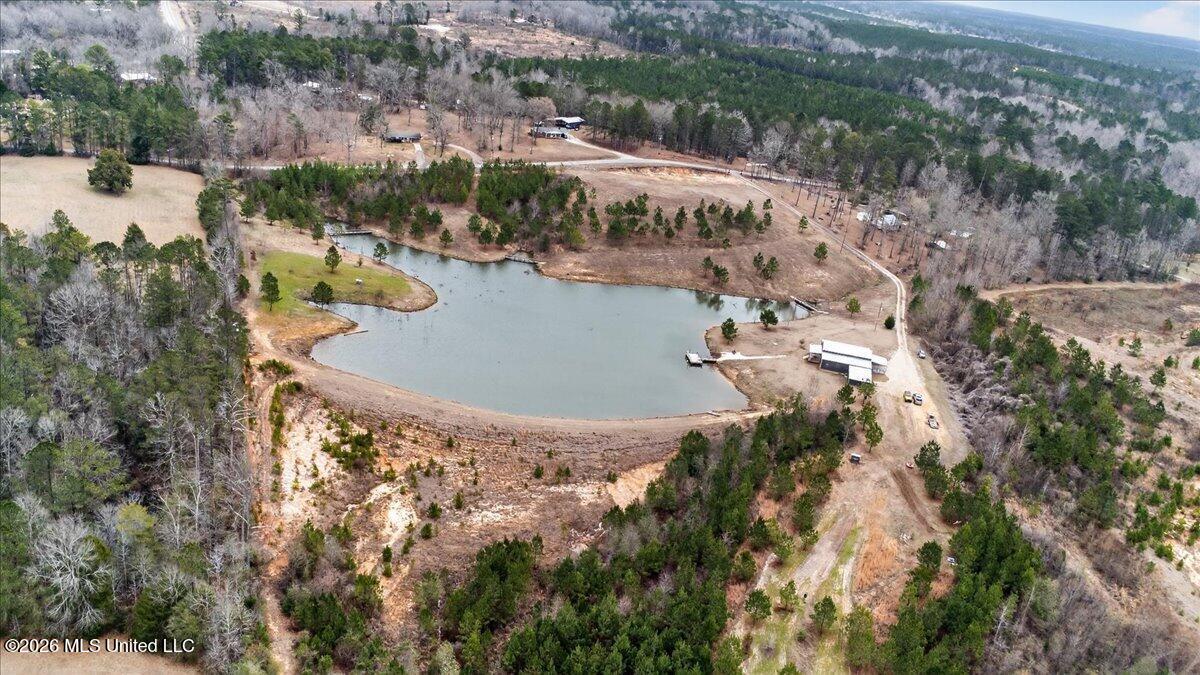 334 West Of Co Road Quitman, MS 39355 - Photo 38 of 42 38-DJI_0089