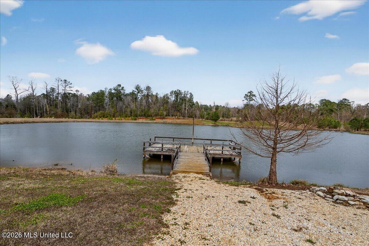 334 West Of Co Road Quitman, MS 39355 - Photo 7 of 42 07-HJ0A1395