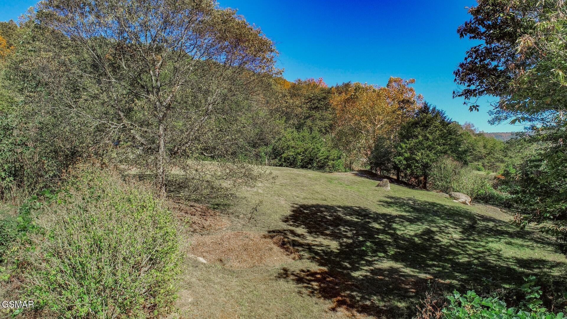 2409 Perilla Road Cosby, TN 37722 - Photo 30 of 50 Gallery Image 30