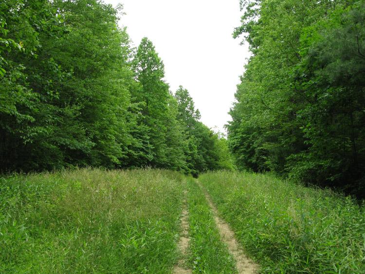 100 Sweeneysburg Road Beckley, WV 25801 - Photo 8 of 17 Come get away