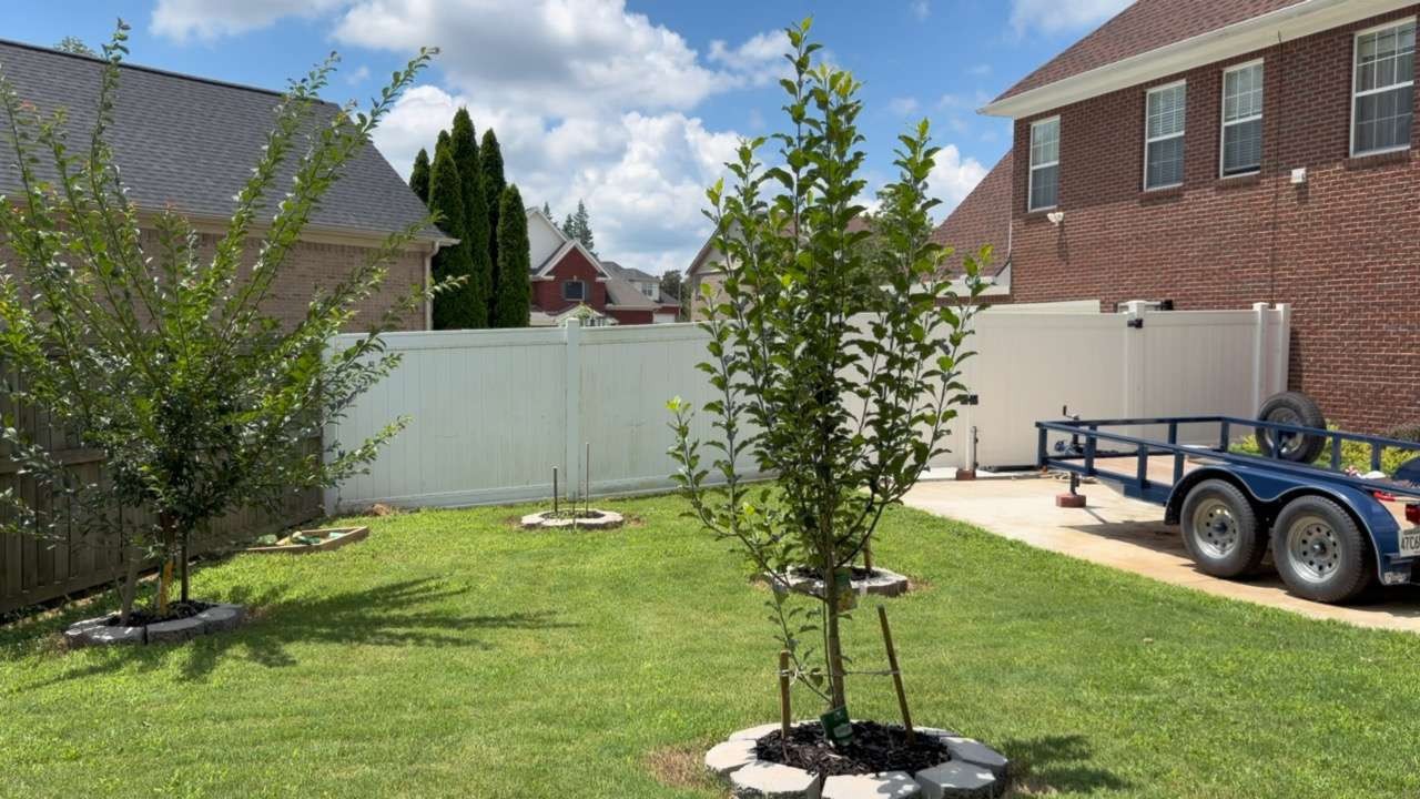 159 Clover Ridge Drive Madison, AL 35758 - Photo 62 of 69 a backyard of a house with table and chairs