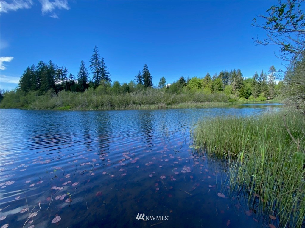 2 West Story Road Shelton, WA 98584 - Photo 11 of 12 Gallery Image 11