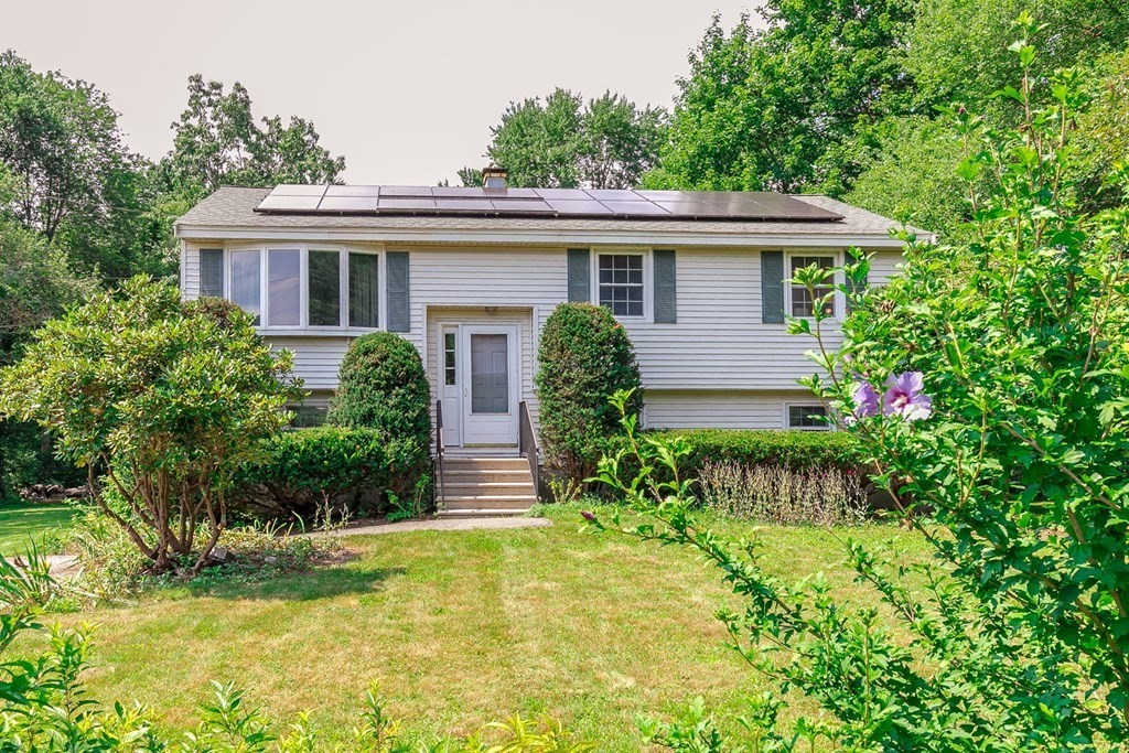a view of a house with a yard and plants