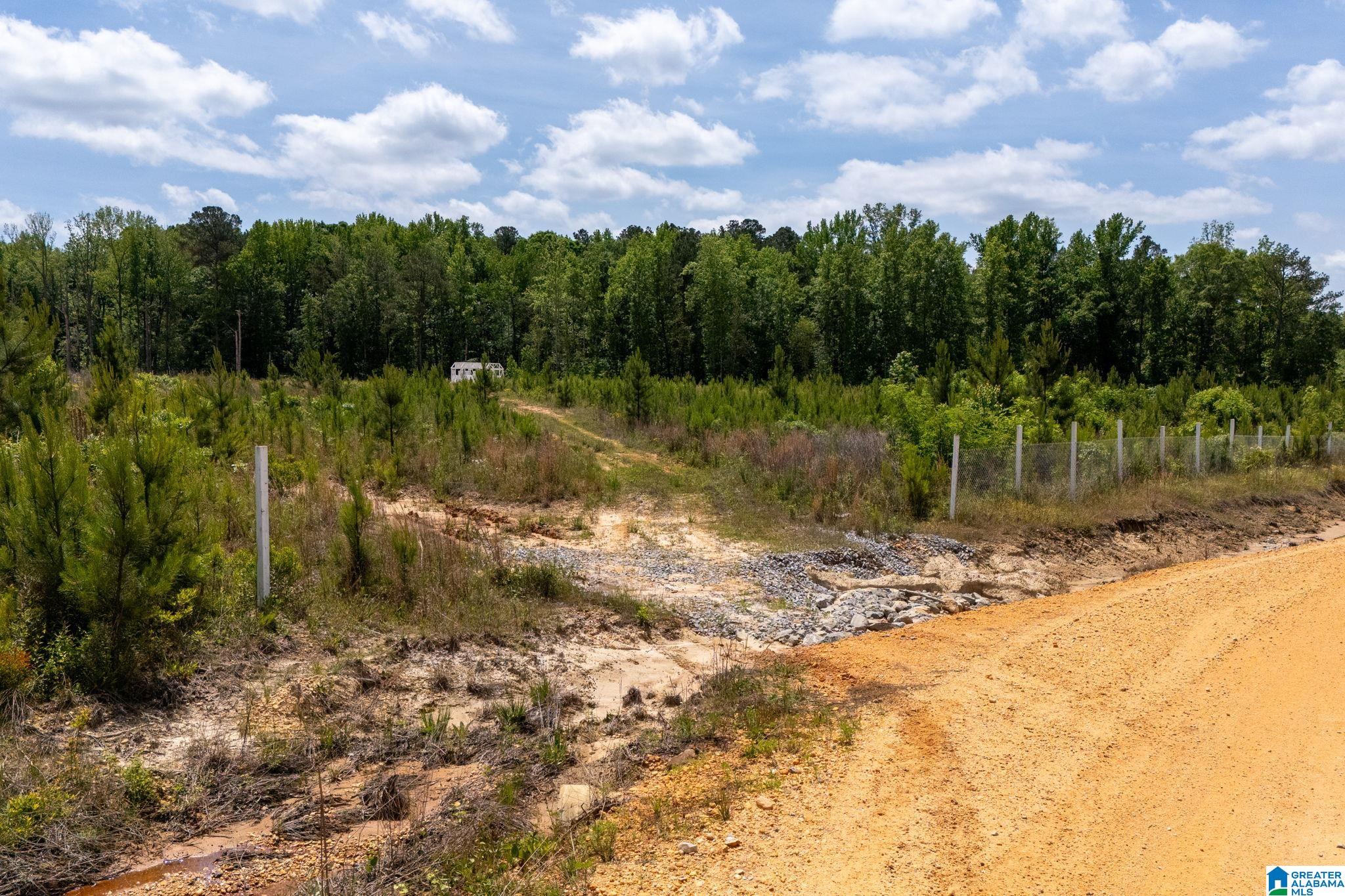 16 County Road Maplesville, AL 36750 - Photo 25 of 26
