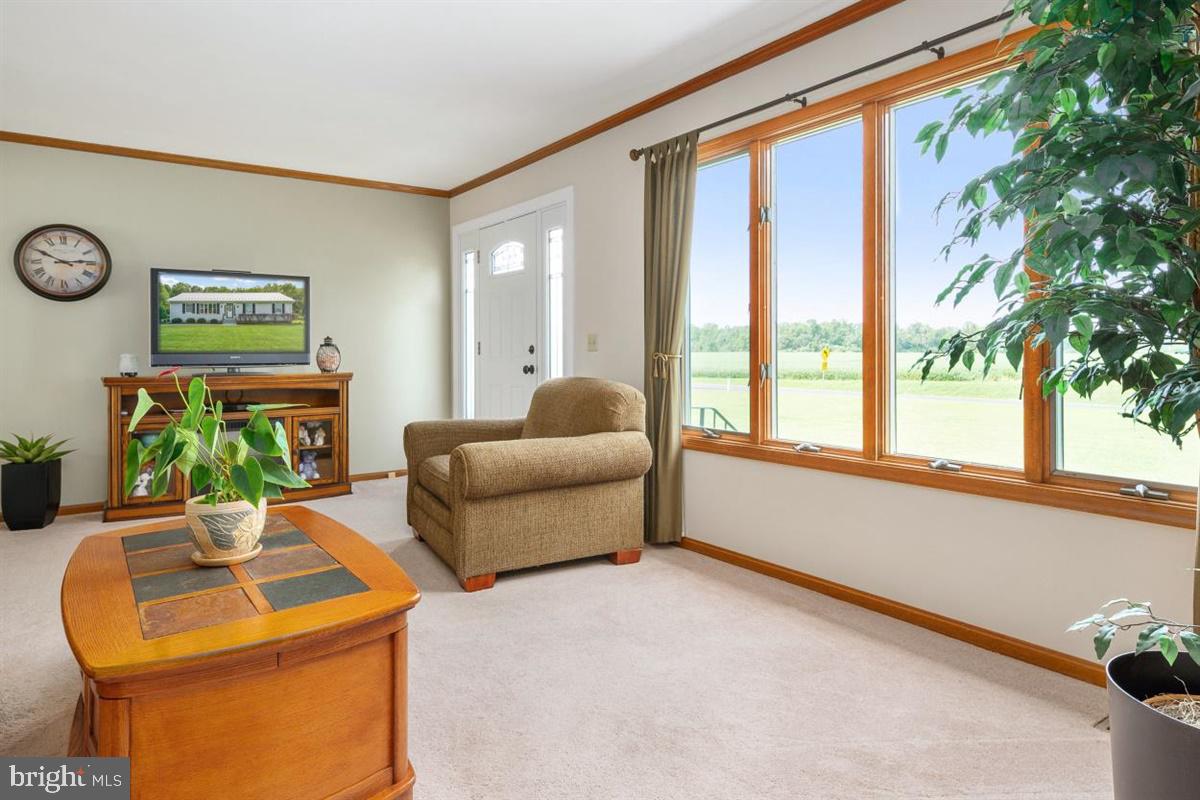 11599 St James Road Worton, MD 21678 - Photo 21 of 46 Gallery Image 21