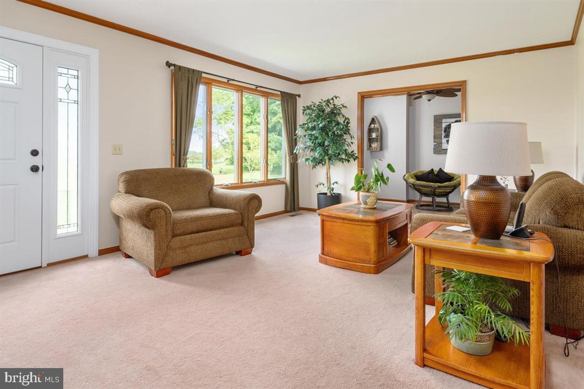 11599 St James Road Worton, MD 21678 - Photo 22 of 46 Gallery Image 22