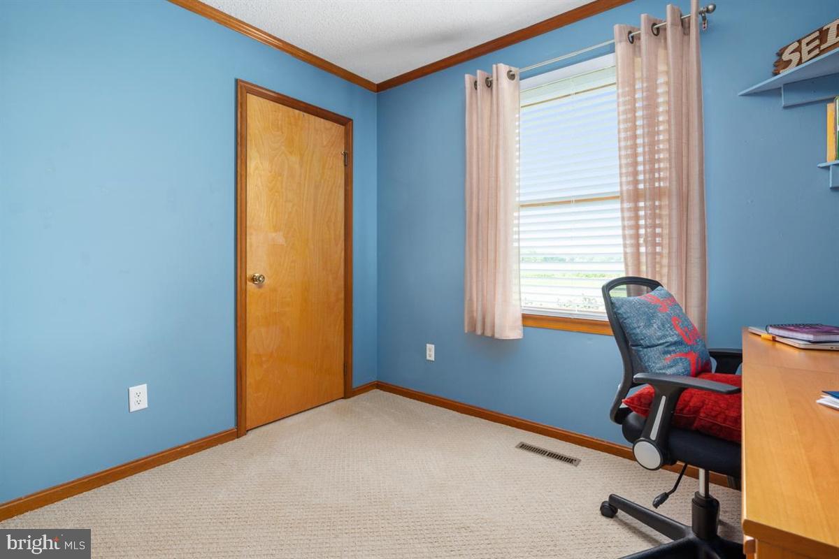 11599 St James Road Worton, MD 21678 - Photo 33 of 46 Gallery Image 33
