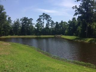 2865 Rutherford Way Charleston, SC 29414 - Photo 5 of 6 CB pond