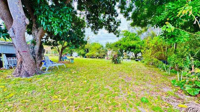 a view of a chair and table in the garden