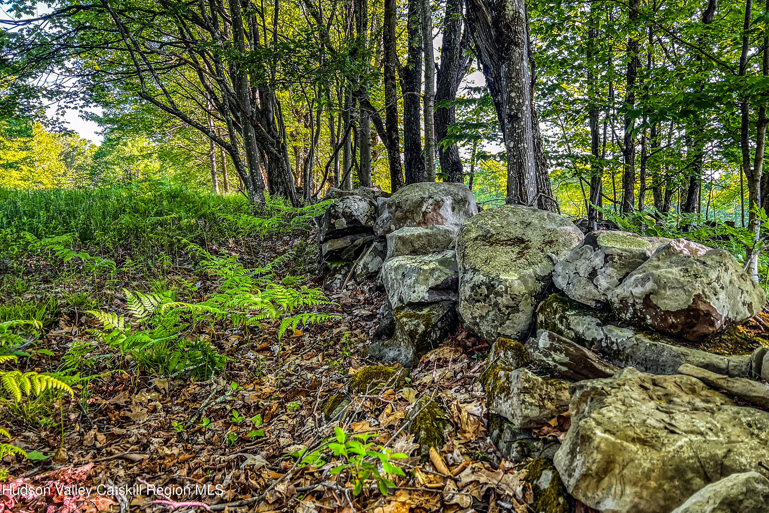 0 Frank Slawson Road Oneonta, NY 13820 - Photo 26 of 29 IMG_3442-Edit