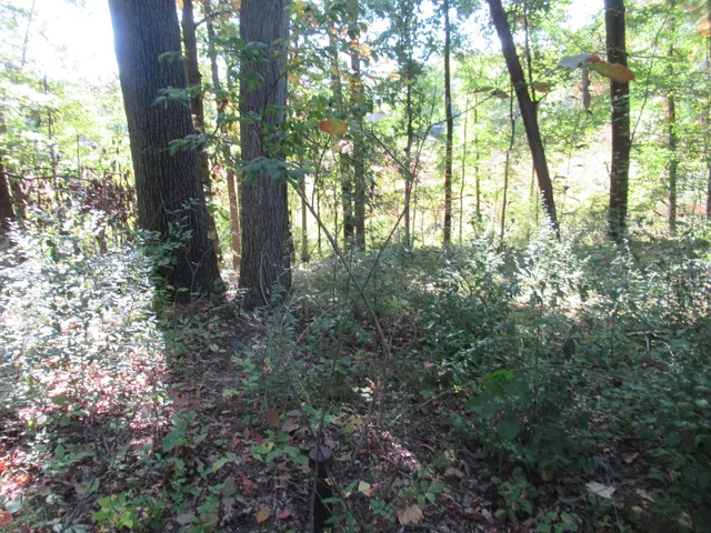 $26,900 | 17538 Paradise Lake Road, Vandalia, MI 49095