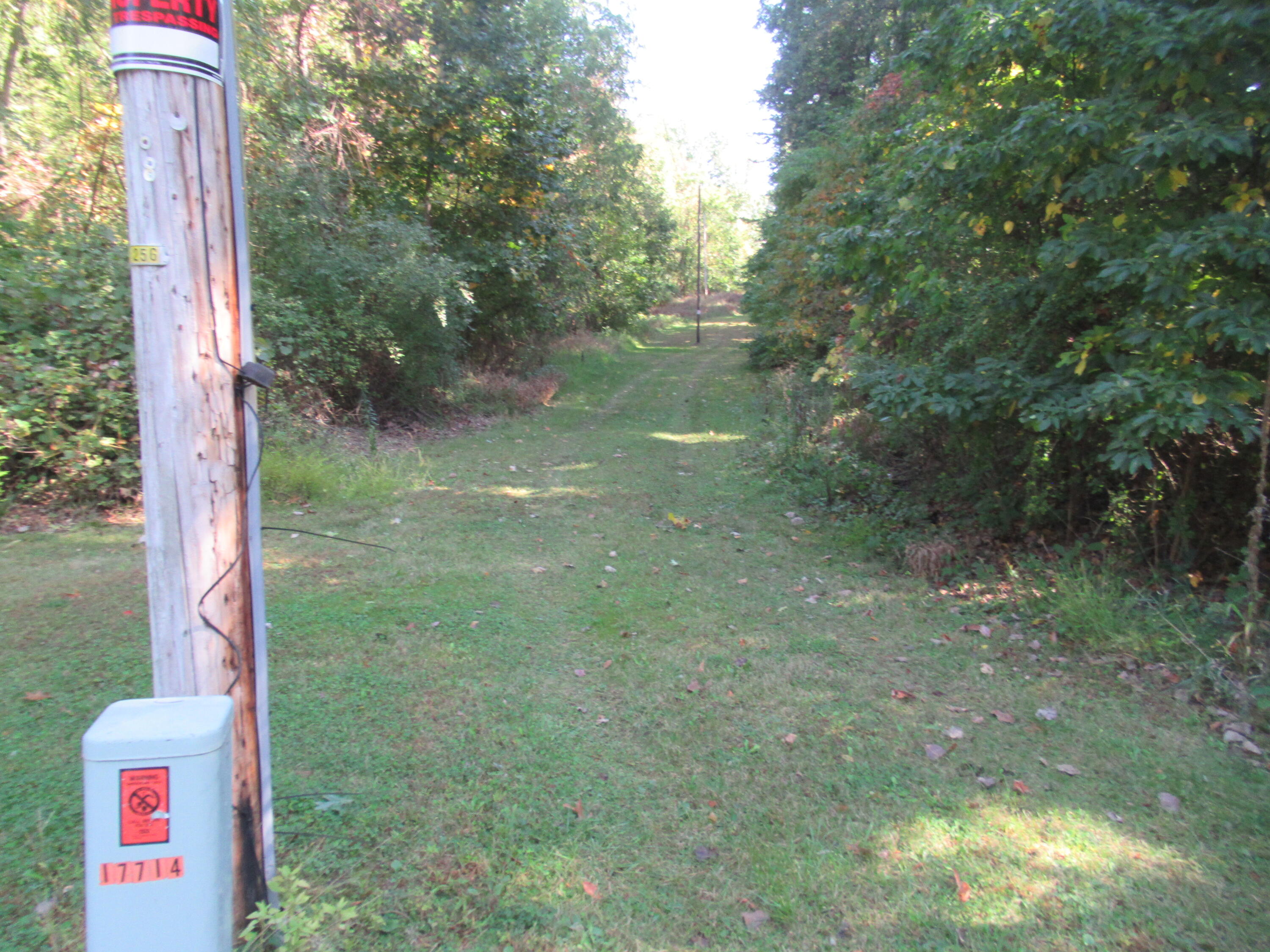 17538 Paradise Lake Road Vandalia, MI 49095 - Photo 5 of 5 IMG_0007