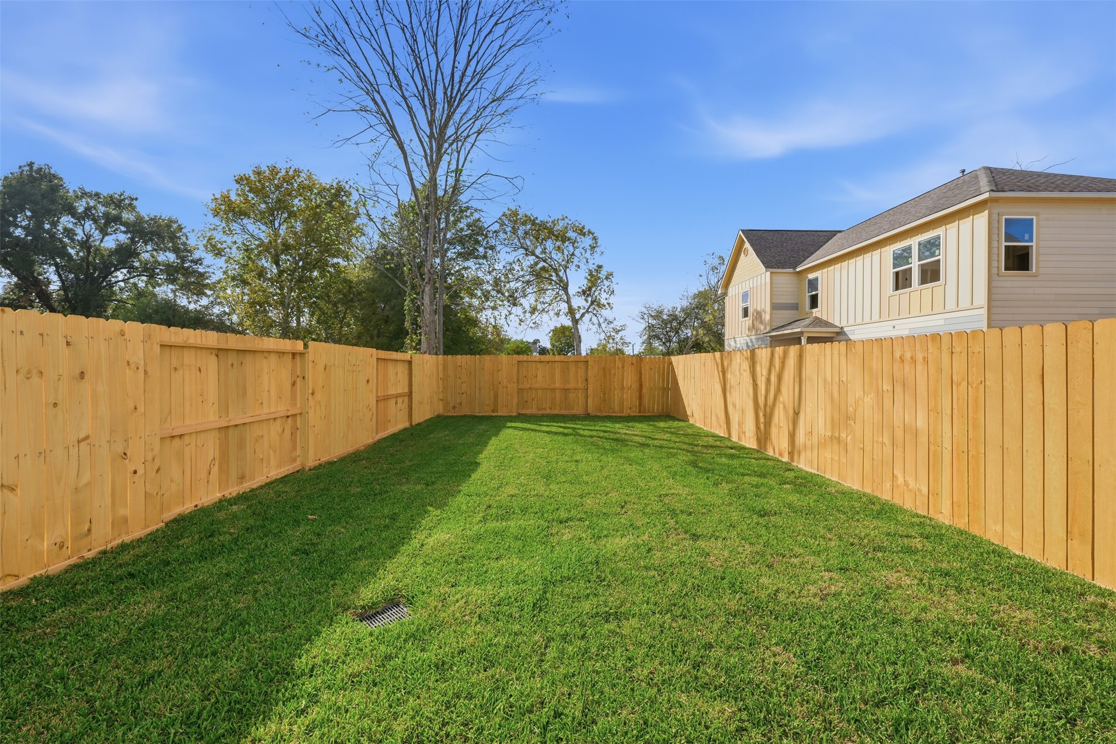 6111 Haight Street Houston, TX 77028 - Photo 9 of 21 a view of backyard with tree