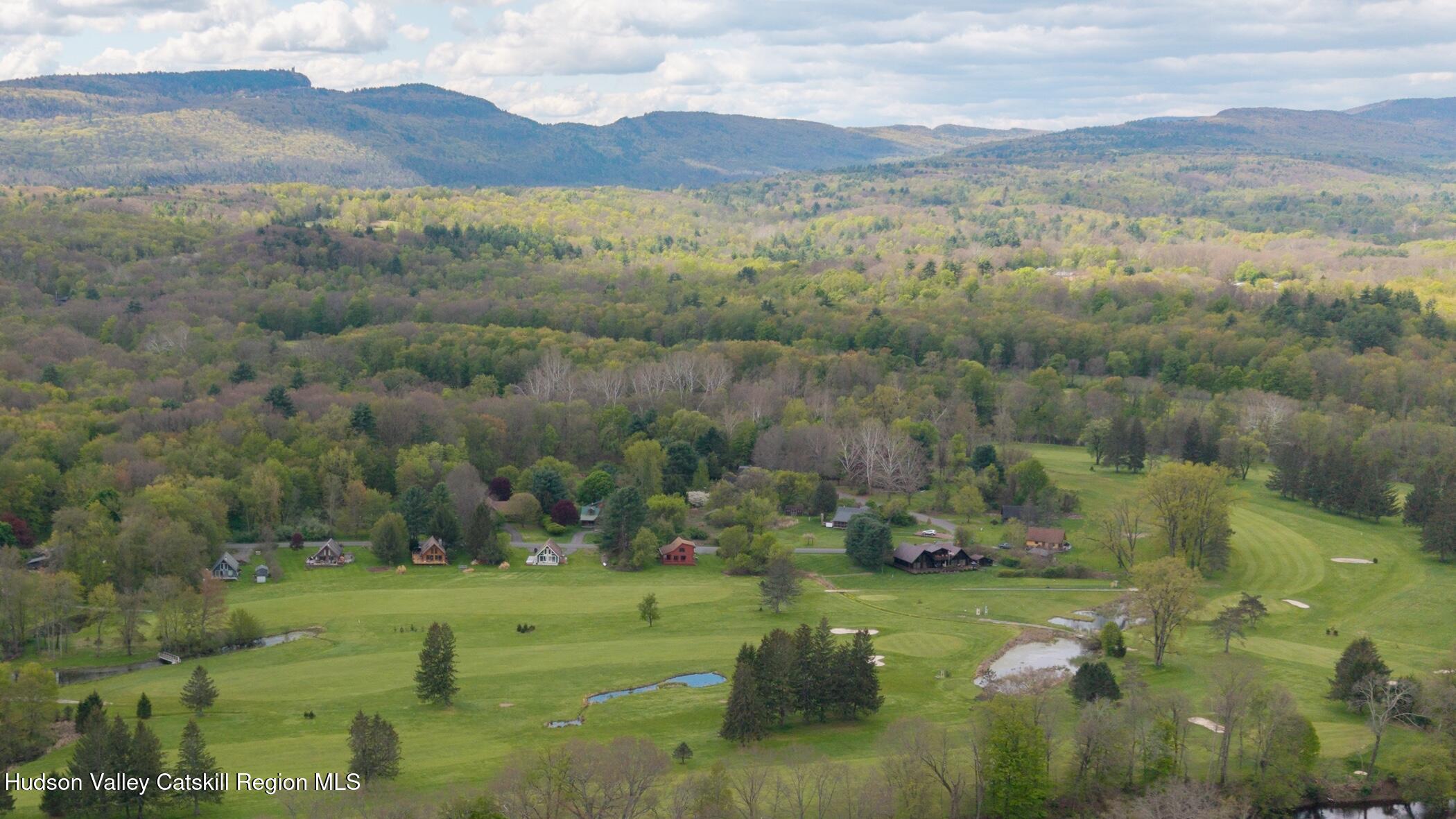 140 Stone Dock Road High Falls, NY 12440 - Photo 42 of 42 a view of a lush green hillside and houses