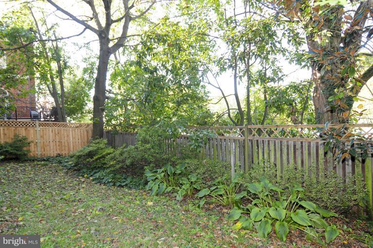 1626 Foxhall Road Northwest Washington, DC 20007 - Photo 15 of 21 a view of a garden