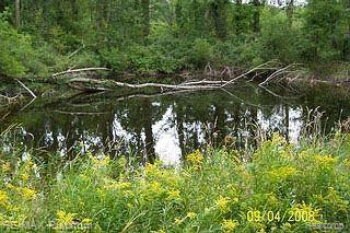 1895 Hidden Valley Howell, MI 48843 - Photo 14 of 20 14