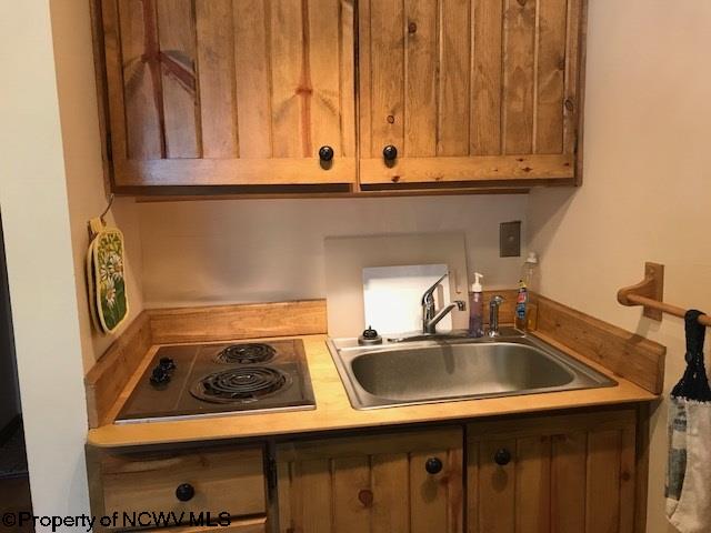 12 Pendletonheim Circle Davis, WV 26260 - Photo 5 of 15 Gallery Image 5
