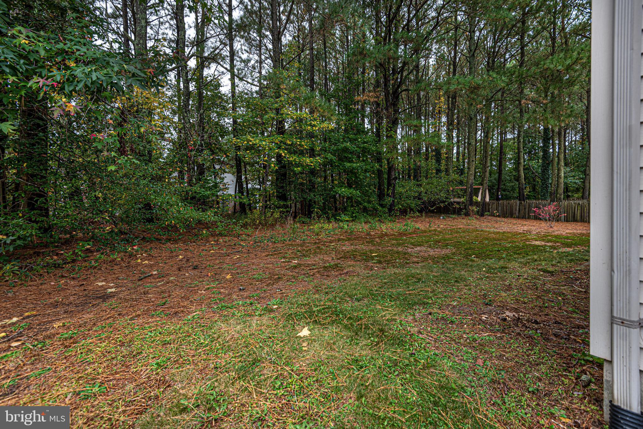 14 Bridgewater Road Berlin, MD 21811 - Photo 41 of 58 Lots of Back Yard Space!