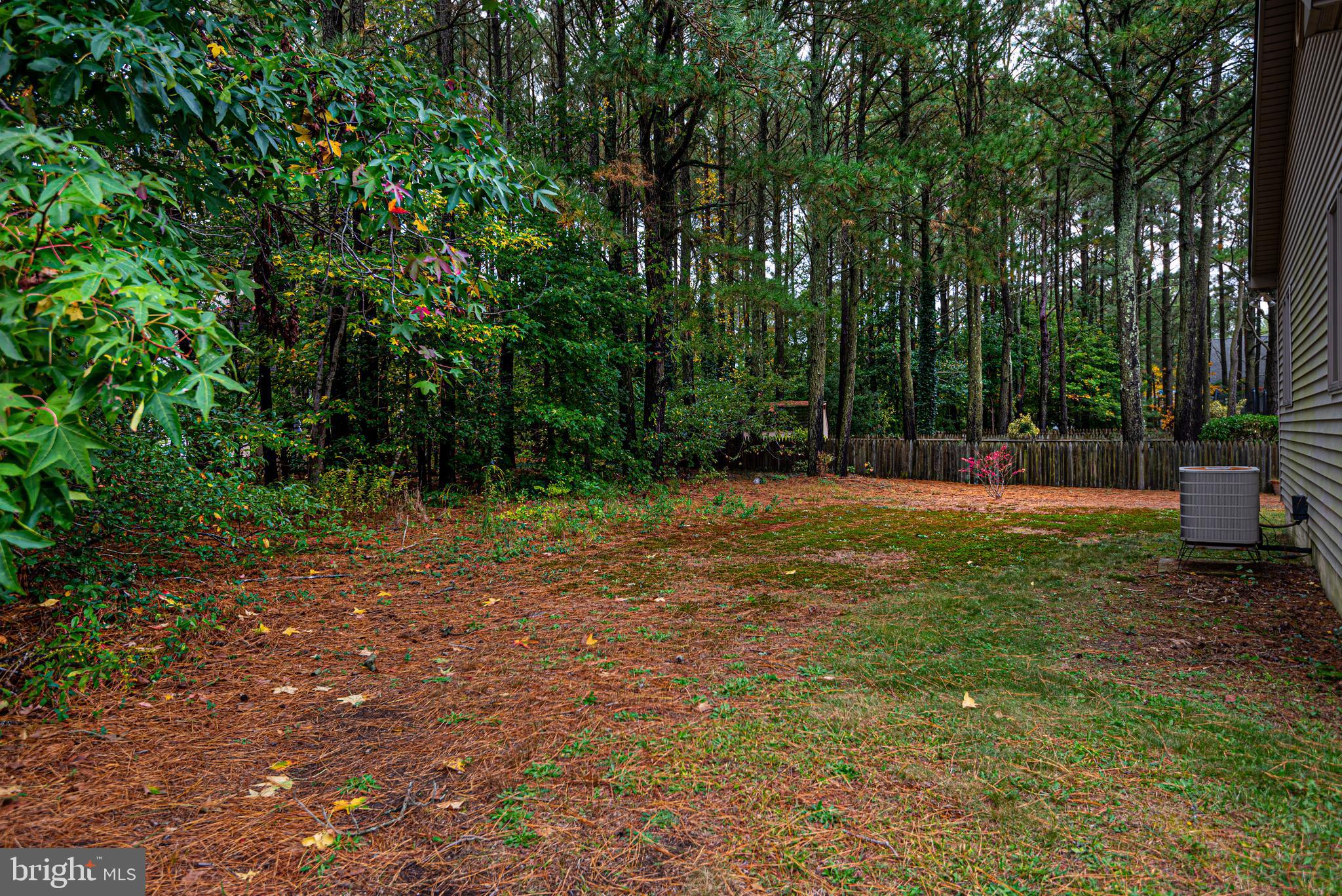 14 Bridgewater Road Berlin, MD 21811 - Photo 45 of 58 Back Yard