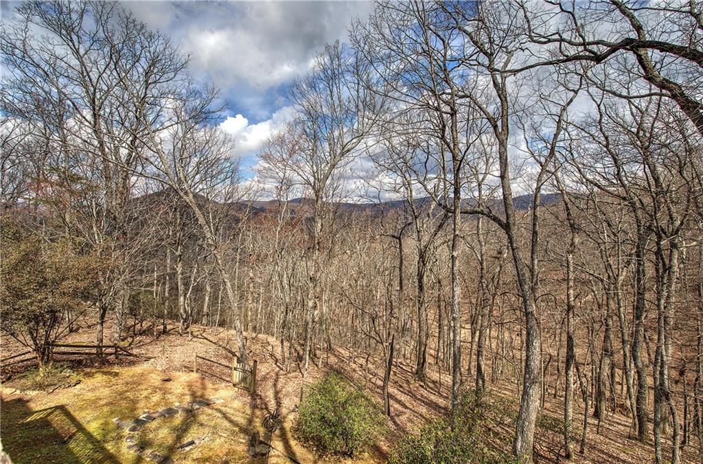 207 Stone Ridge Court Jasper, GA 30143 - Photo 23 of 23